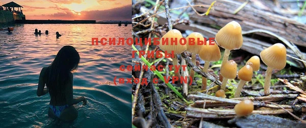 скорость Лагань